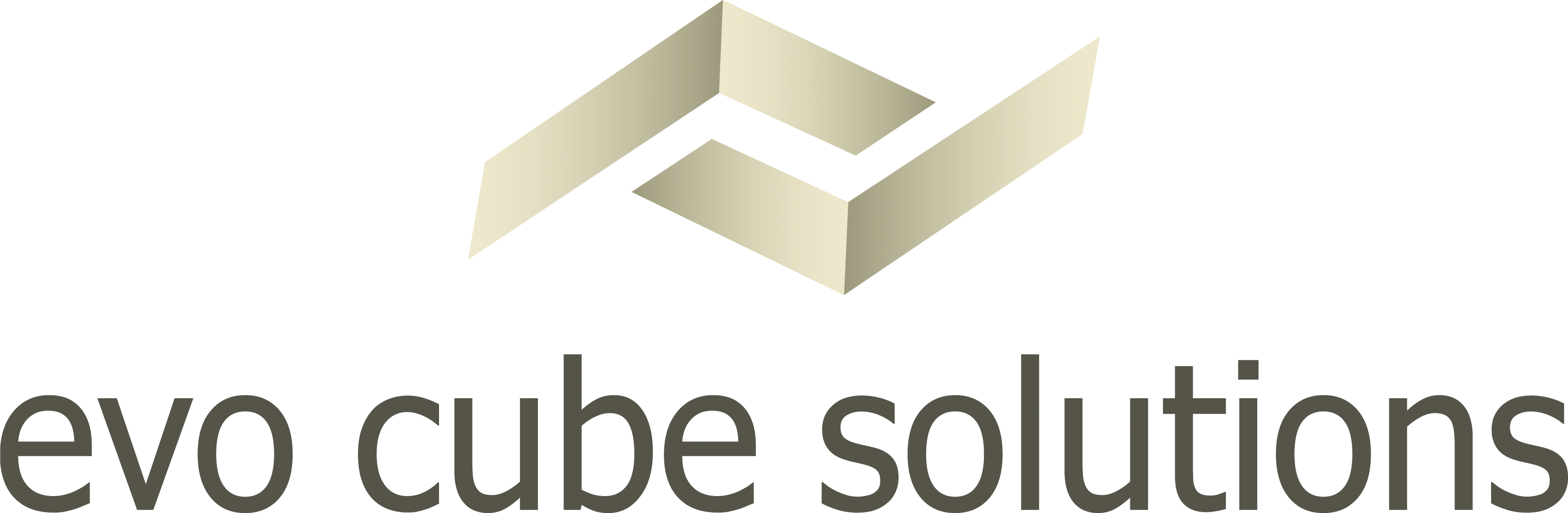 evo cube solutions gmbh